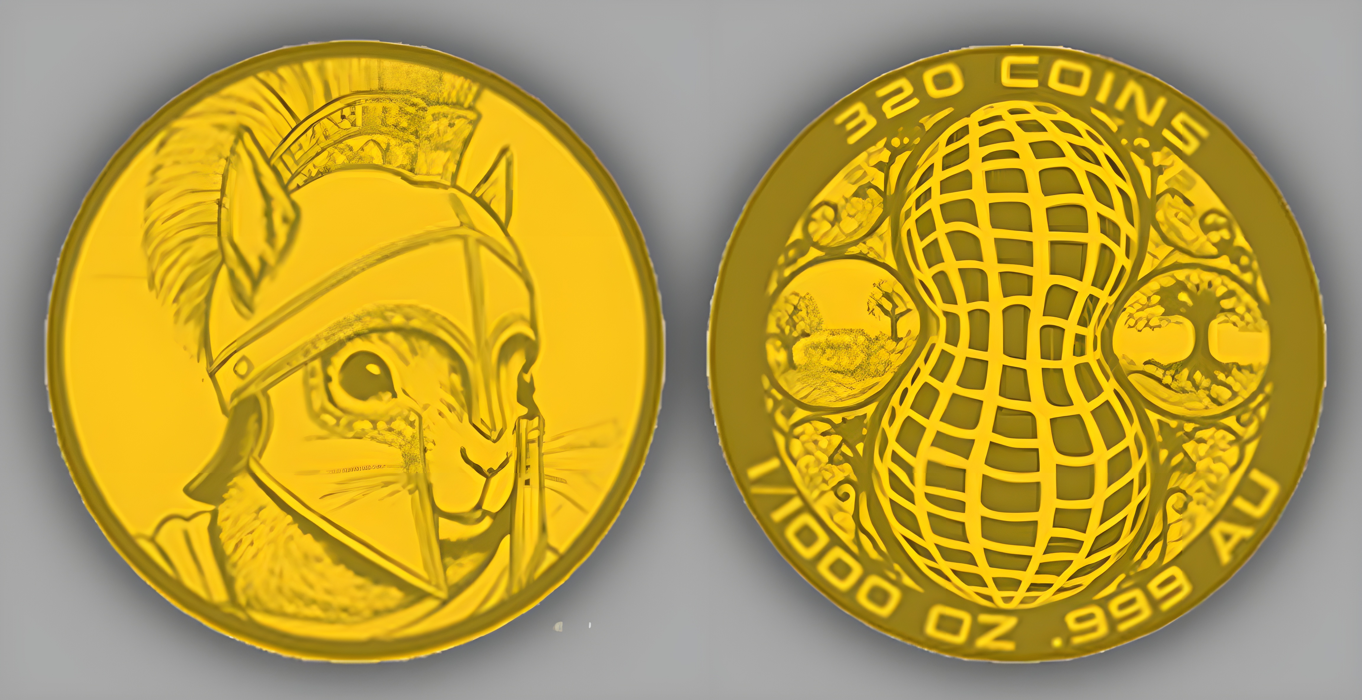 Squirrel-Warrior-Coin-Up