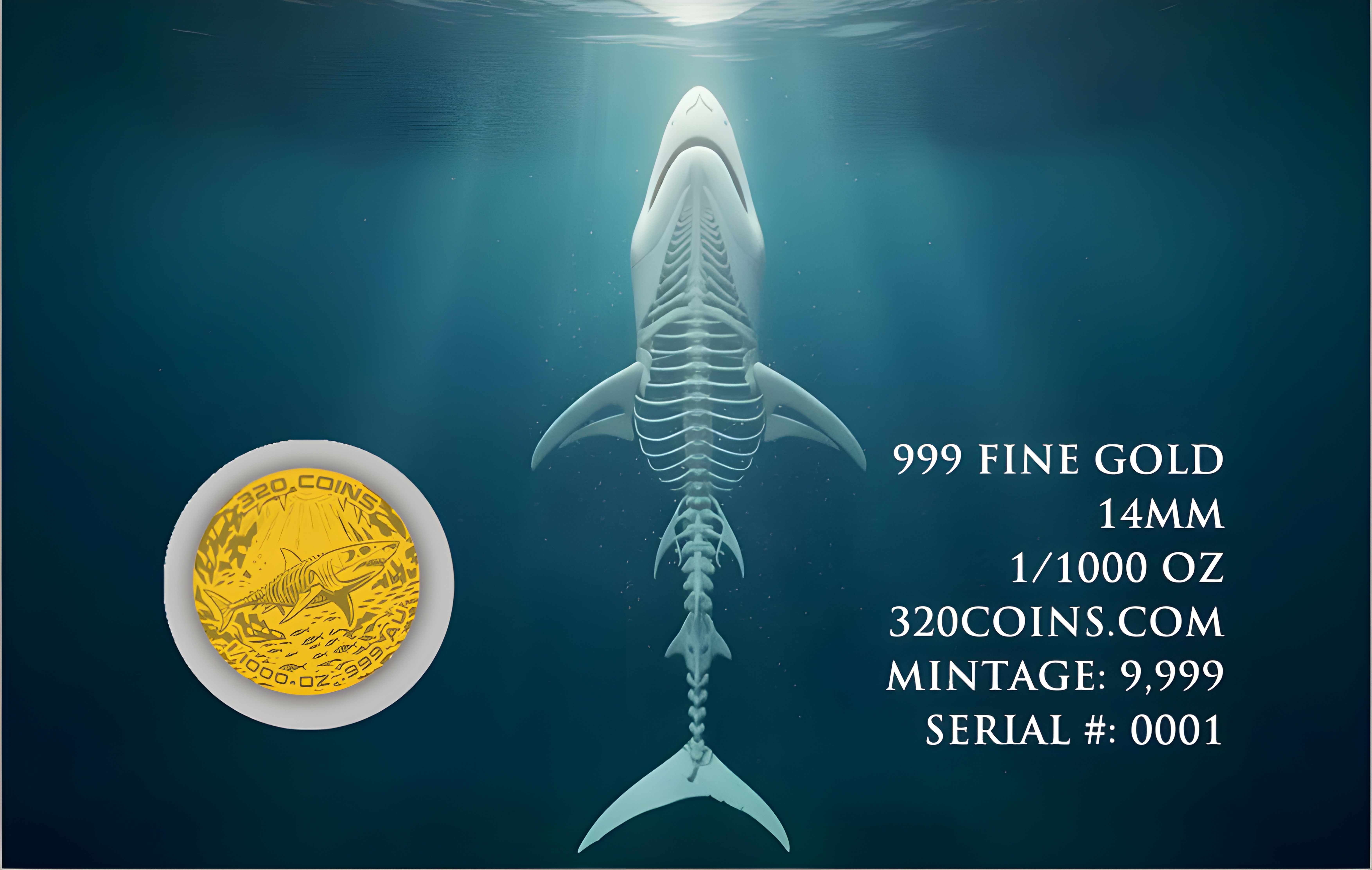 UnDead-Shark-Back-Up